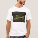 Search for anna clothing Bird