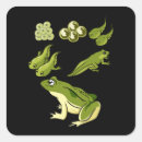 Search for frog teacher stickers Nature