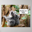 Search for koala nursery decor Funny