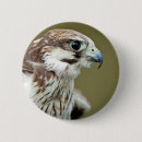Search for bird of prey badges Hunting