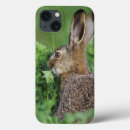 Search for rear view electronics Wildlife