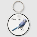 Search for blue jays key rings Wildlife