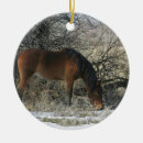Search for wild one christmas tree decorations Equestrian