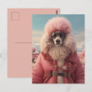 Search for artic postcards Animal