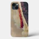 Search for boulder ipad cases Forest
