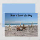 Search for florida seashells cards Beach