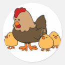 Search for chicken hen bird stickers Chickens