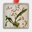 Search for roots christmas tree decorations Botanical