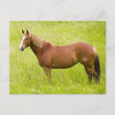 Search for for terry postcards Field