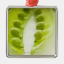 Search for horizontal pea pod Freshness