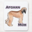 Search for agility electronics Dog