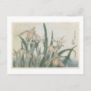 Search for grasshoppers postcards Flowers