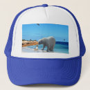 Search for polar bear baseball caps Animal