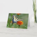 Search for mother easter cards Nature