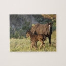 Search for north dakota puzzles Horse