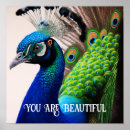 Search for peacock quote Beautiful