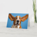Search for basset hound birthday cards Pet