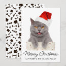 Search for crazy seasonal invitations Funny