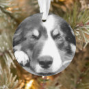 Search for border collie christmas tree decorations Animal