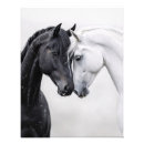 Search for stallion art Black and white