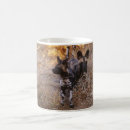 Search for wild dog mugs Wildlife