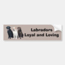 Search for labrador bumper stickers Dog