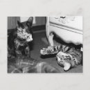 Search for whisperer postcards Cat