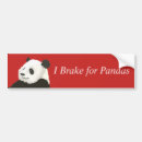 Search for panda bumper stickers Animal