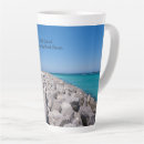 Search for beach shells mugs Coastal