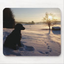 Search for dog silhouette mousepads Retriever