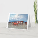 Search for ranching cards Cattle
