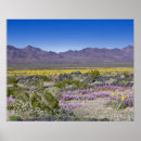 Search for crater posters Scenic