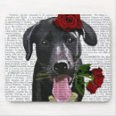Search for dog rose electronics Roses