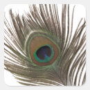Search for peahen stickers Bird