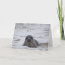 Search for colour prints cards Animal
