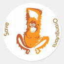 Search for save the orangutan stickers Borneo