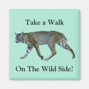 Search for bobcat magnets Nature