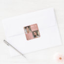 Search for dusty rose stickers Simple