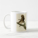 Search for owl illustration mugs Illustrated