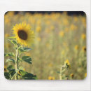 Search for cheery mousepads Bright