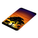 Search for wild animals magnets Wildlife