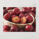 Search for fruit slices postcards Horizontal