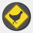 Search for funny chicks magnets Rooster