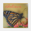 Search for believe magnets Hope