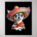 Search for day of the dead chihuahua Happy cinco de mayo