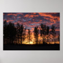 Search for red sky posters Summer