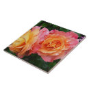 Search for beautiful tiles Nature