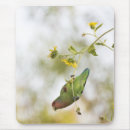 Search for lovely faces mousepads Bird