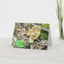 Search for funny romantic cards Girlfriend