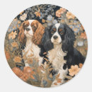 Search for cavalier stickers Cute